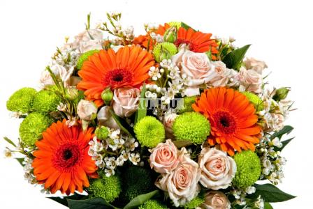 Bouquet of flowers Orange
													