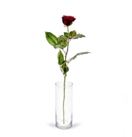  Букет 1 троянда  Могильов
														