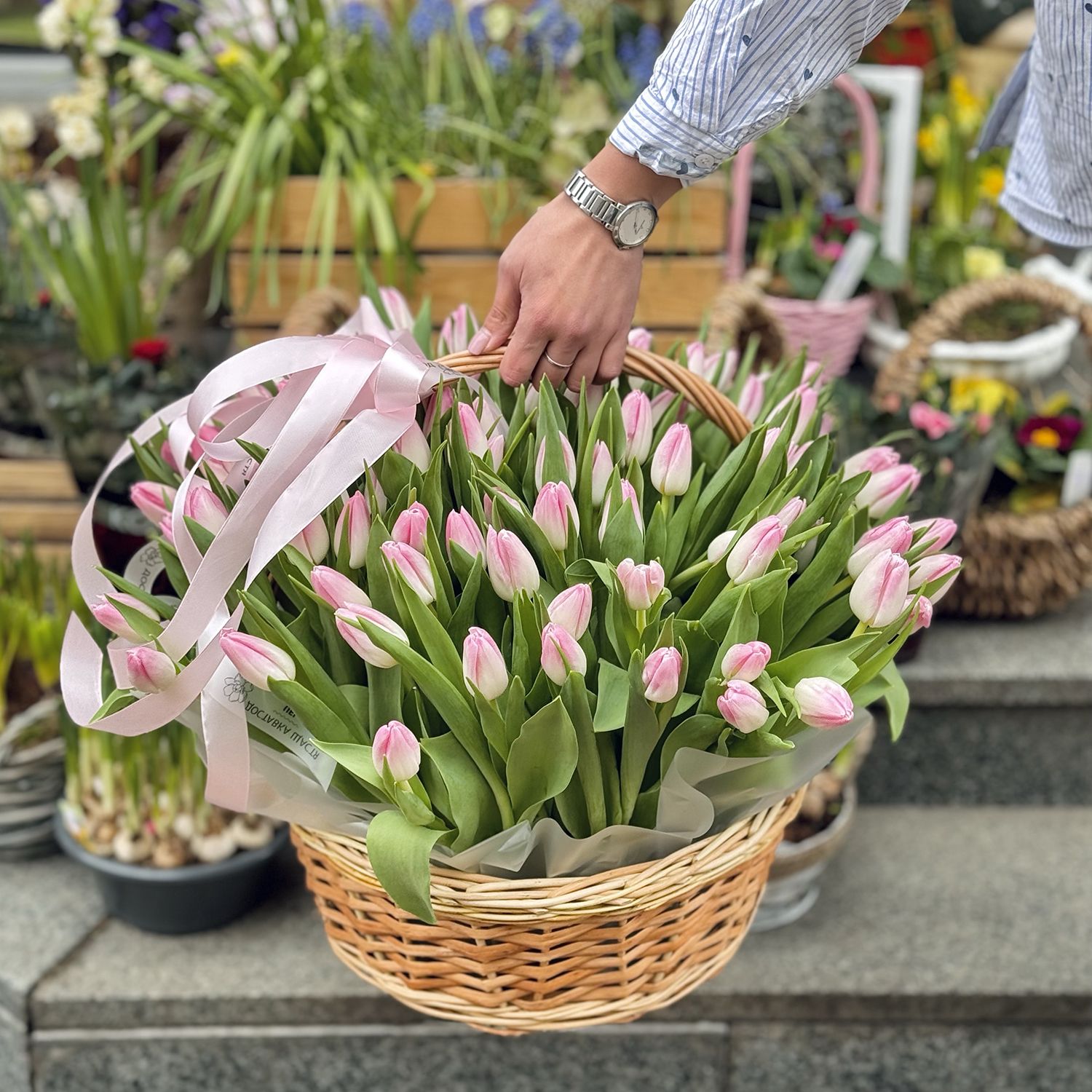 101 tulips in a basket 101 tulips in a basket