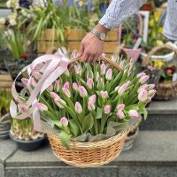 101 tulips in a basket Toritto