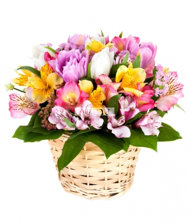 Букет цветов Доченьке
													