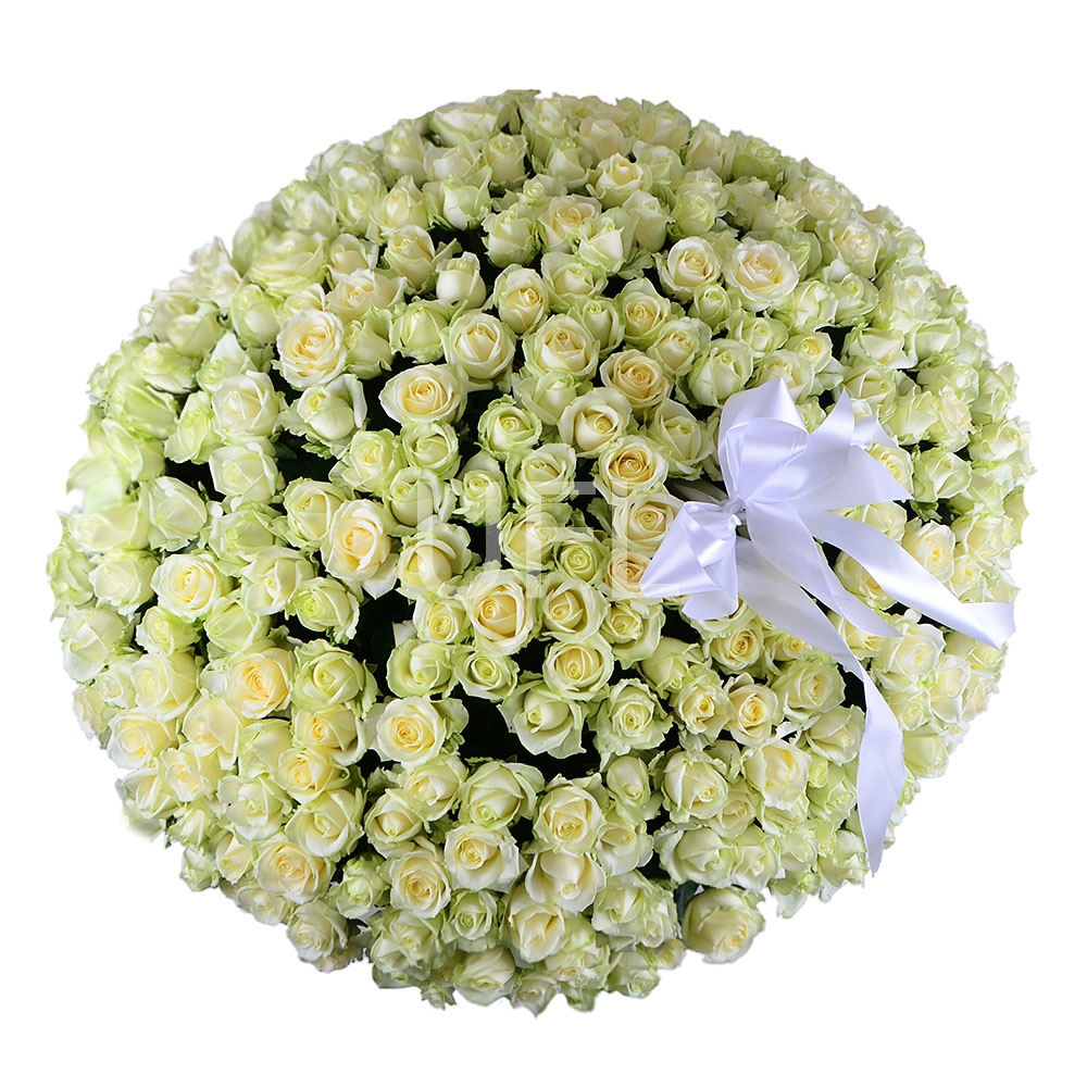 Корзина цветов 301 роза 0 €