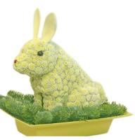 Букет цветов Кролик
														