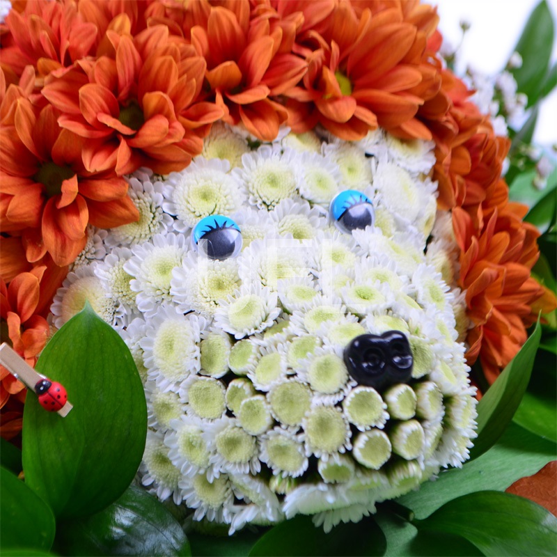  Bouquet Small hedgehog
													