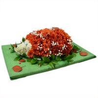 Букет цветов Ёжик Бобруйск
														
