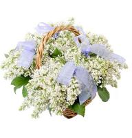  Bouquet White sea Ust-Kamenogorsk
														