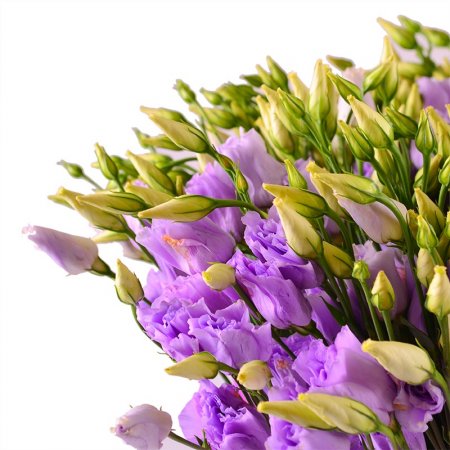 Букет цветов Пурпурный
														