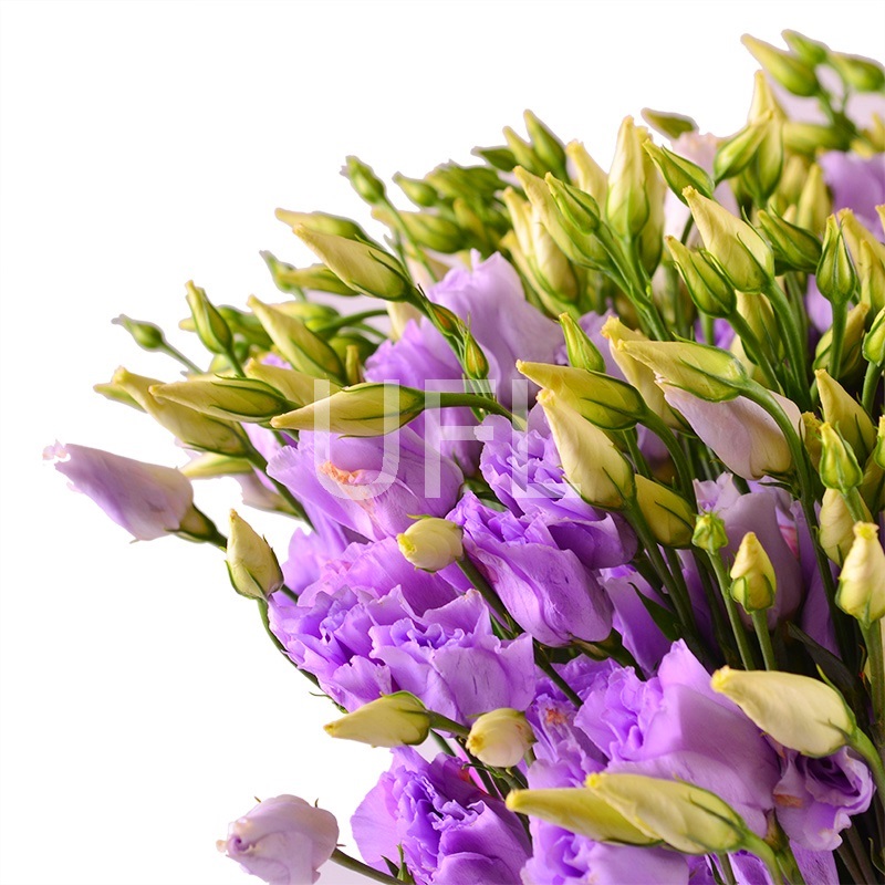 Букет цветов Пурпурный
													