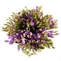 Bouquet of flowers Purple
														