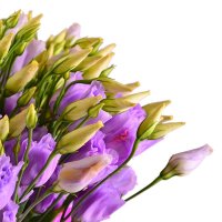 Bouquet of flowers Purple
														