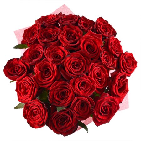 Букет 25 красных роз Черанова