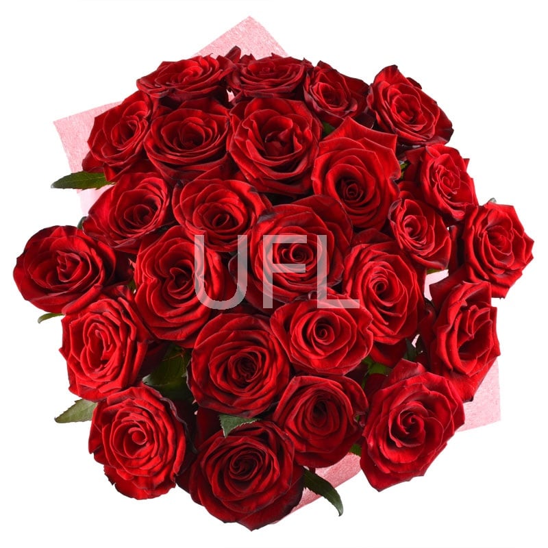 Букет 25 красных роз Род-Айленд