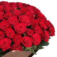 Seduction (101 roses) Mount Abu