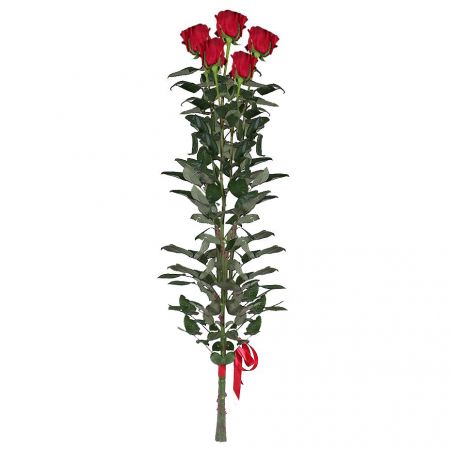 5 красных роз (90 см)