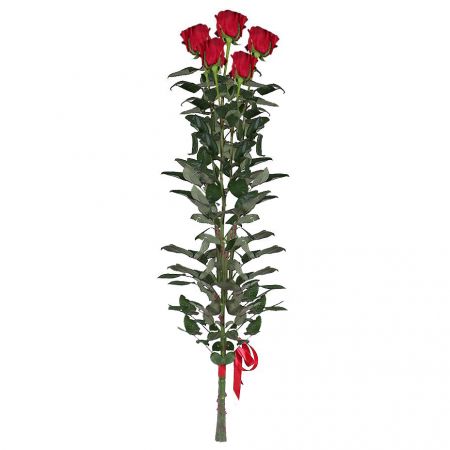 5 Red roses (90 cm) Eure-et-Loir