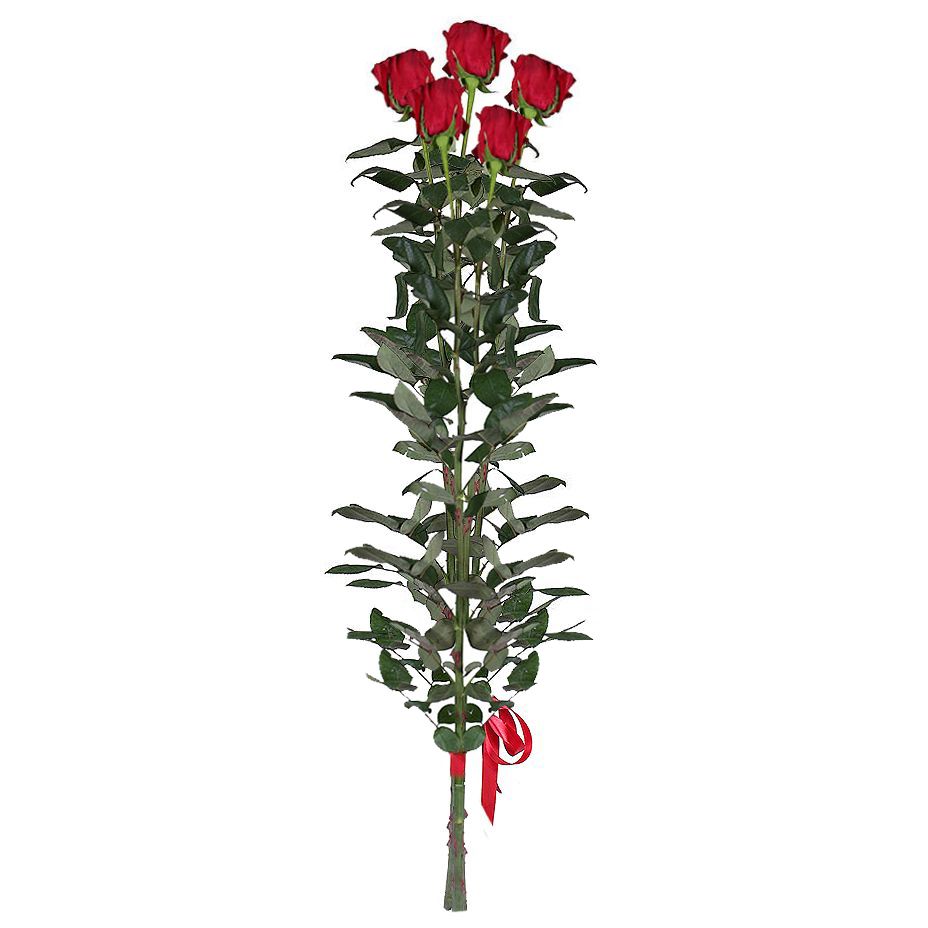 5 красных роз (90 см)