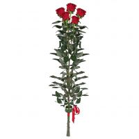 5 Red roses (1m)