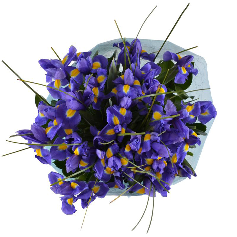 Bouquet of flowers Аzurite
													