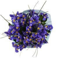 Bouquet of flowers Аzurite
														