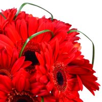 Bouquet of flowers Beverly Zug
                            