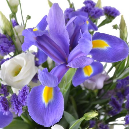  Bouquet Lavender fields
													