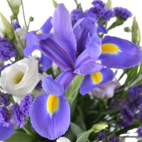  Bouquet Lavender fields
														