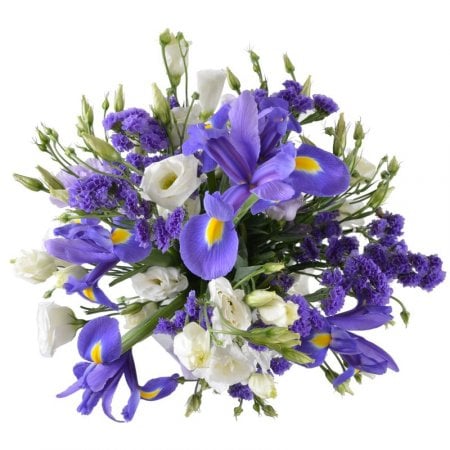  Bouquet Lavender fields
														