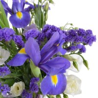  Bouquet Lavender fields
														