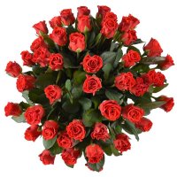 45 red roses