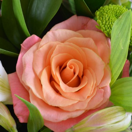 Bouquet of flowers Veronica
													