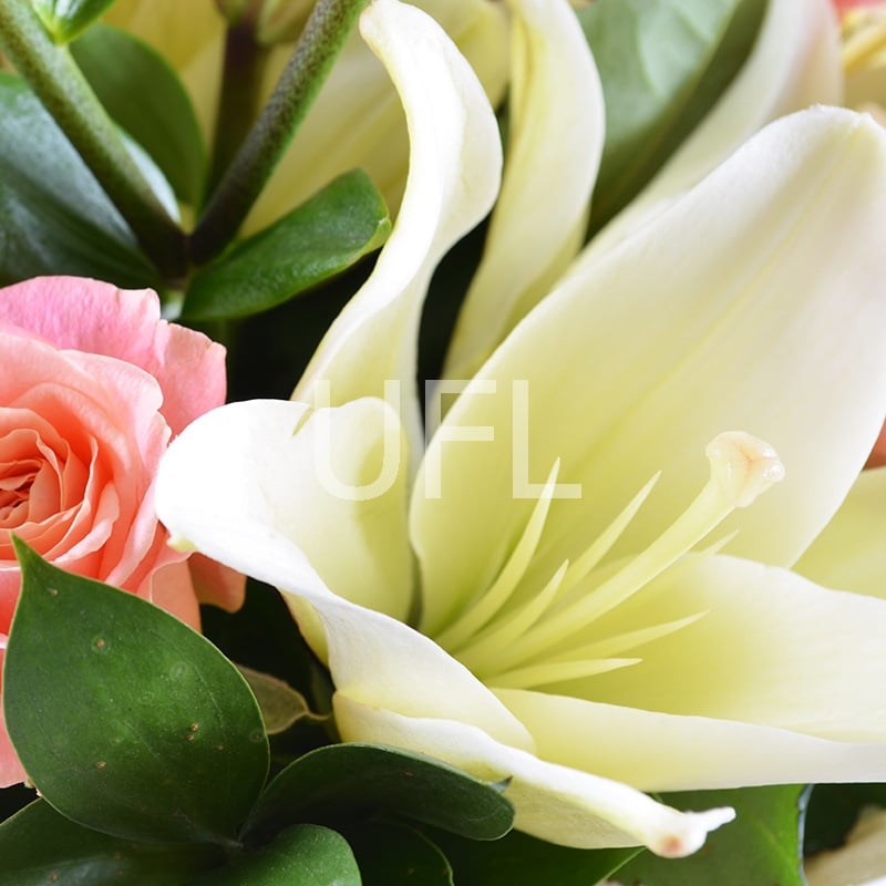 Bouquet Monro 155 €