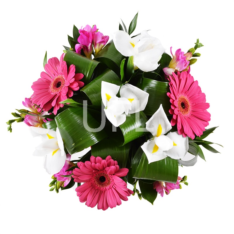 Букет цветов Каллиопа
													