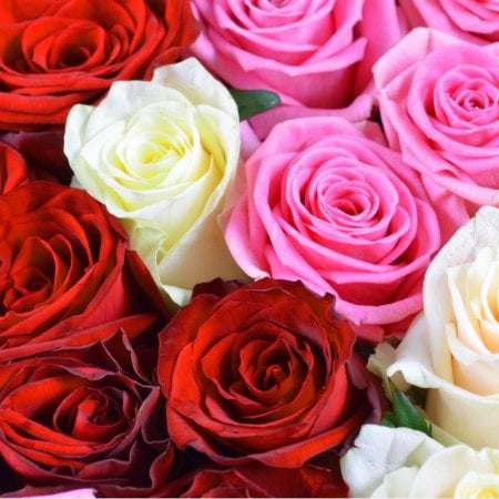 Bouquet Rose heart
														