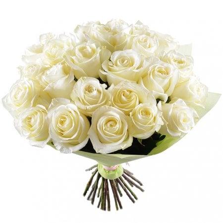Білий шовк 25 троянд 70 см Брест (Білорусь)