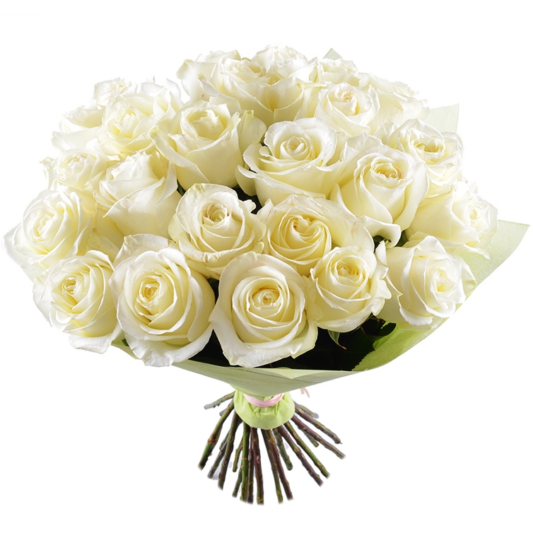 Білий шовк 25 троянд 70 см Ерфурт