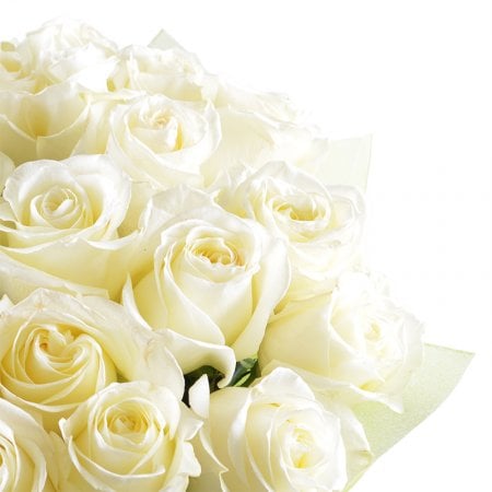 Білий шовк 25 троянд 70 см