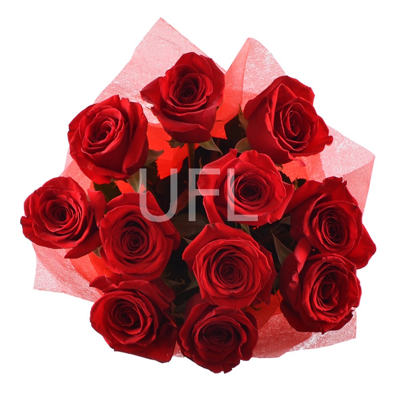 11 premium roses 11 premium roses