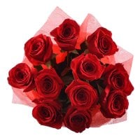 11 premium roses