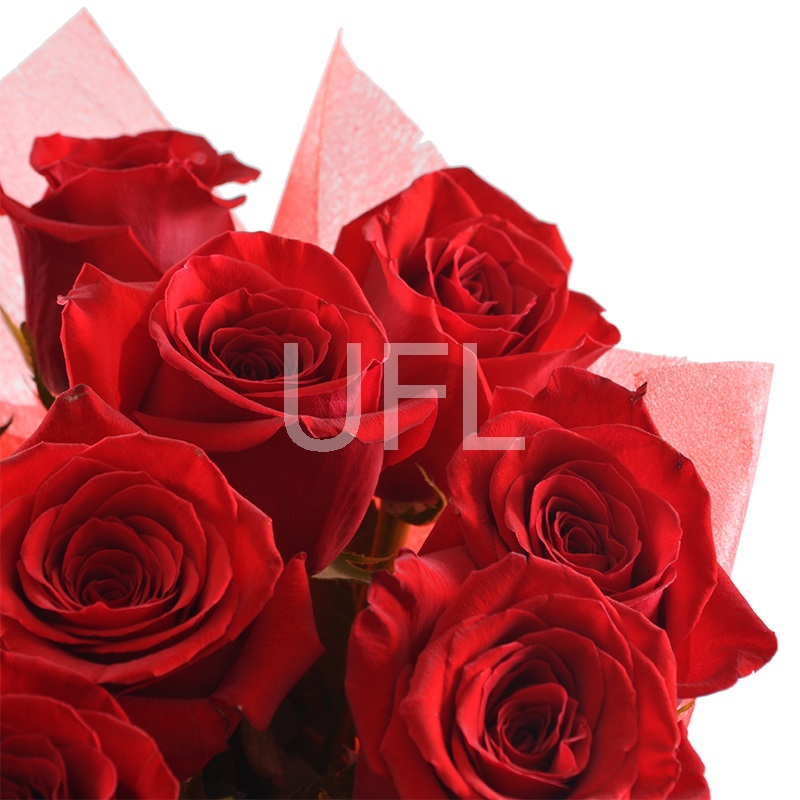 11 premium roses