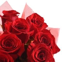 11 premium roses Wetzlar