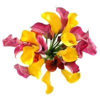 Букет квітів Маракуйя Андорра-ла-Велья