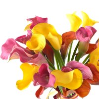 Букет квітів Маракуйя Рішон-ле-Ціон