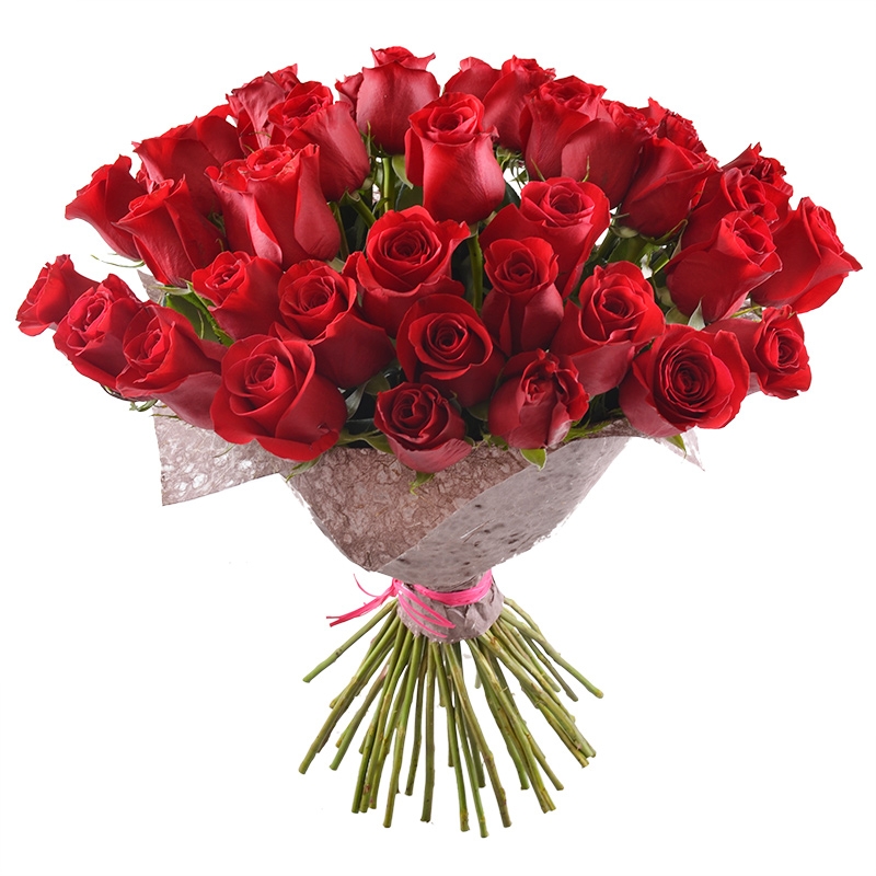 51 premium roses