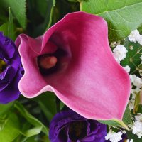 Bouquet of flowers Compliment
														