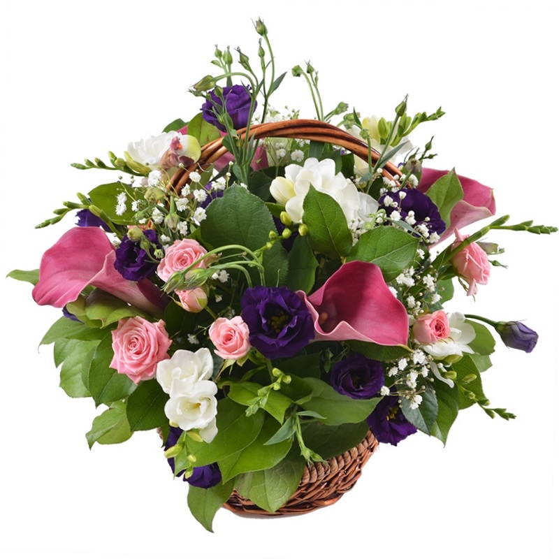 Bouquet of flowers Compliment
													