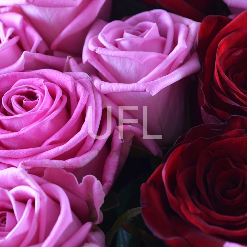 Big rose bouquet 222 $