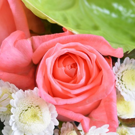 Bouquet of flowers Gorgeous
													