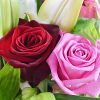  Bouquet Congratulate you Shymkent
														