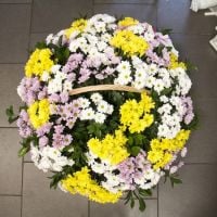 Корзина разноцветных хризантем Луганск