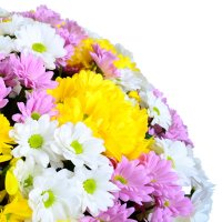 Корзина разноцветных хризантем Кременчуг